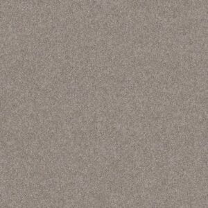 ALL OVER IT I by Shaw Floors - Misty Harbor