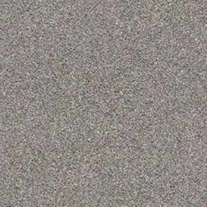 GO FOR IT by Shaw Floors - Granite