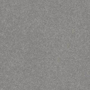 SOLIDIFY I 12' by Shaw Floors - Dusty Trail