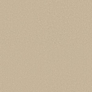 WAY TO GO III by Shaw Floors - Warm Breeze
