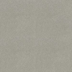 TONAL COMFORT I by Shaw Floors - Refreshed