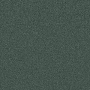 TONAL COMFORT I by Shaw Floors - Bold Moves