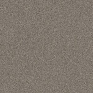 TWEED COMFORT II by Shaw Floors - Marsh Grass