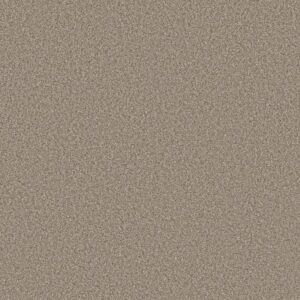 TWEED COMFORT II by Shaw Floors - Honeymoon