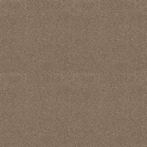 TONAL COMFORT BLUE by Shaw Floors - Camping Trip