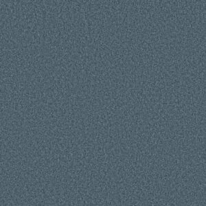 TONAL COMFORT BLUE by Shaw Floors - Surf Lessons