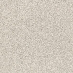 TONAL COMFORT BLUE by Shaw Floors - Need A Hug