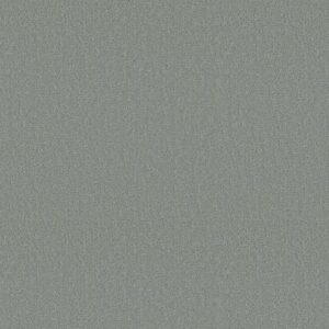 CANVAS COMFORT by Shaw Floors - Misty Rain