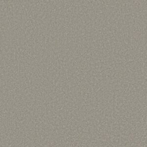 WAY TO GO I by Shaw Floors - Taupe Tone