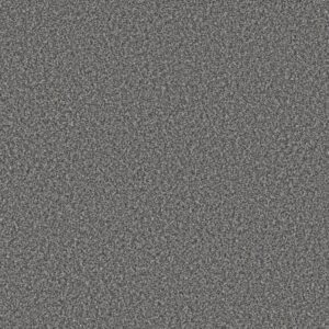 TWEED COMFORT I by Shaw Floors - Carolina