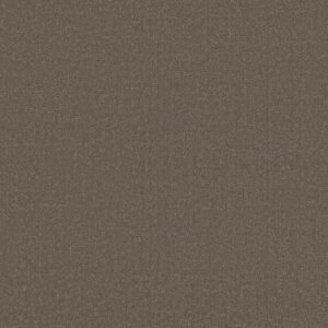 CANVAS COMFORT by Shaw Floors - Summer House