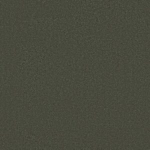 AWAKEN SPIRIT II 12' by Shaw Floors - Olive Tree