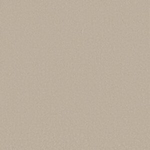 AWAKEN SPIRIT I by Shaw Floors - Cloud