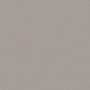 AWAKEN SPIRIT I by Shaw Floors - Hazy Sky