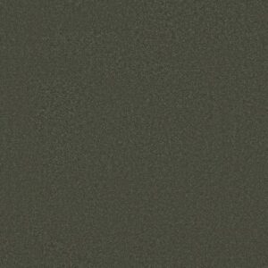 AWAKEN SPIRIT II 15' by Shaw Floors - Olive Tree