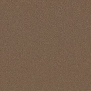 AWAKEN SPIRIT II 15' by Shaw Floors - Copperglaze