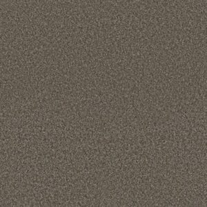 RENEWED ENERGY II by Shaw Floors - Mineral Bed