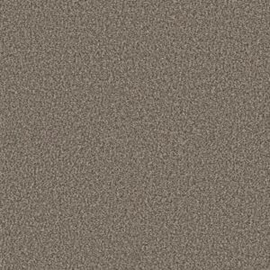 RENEWED ENERGY II by Shaw Floors - Countryside