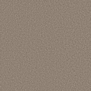 NEW ATTITUDE by Shaw Floors - Desert Dune