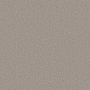 ALWAYS RIGHT II by Shaw Floors - Sea Salt