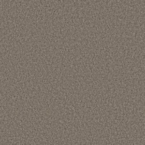 ALWAYS RIGHT II by Shaw Floors - Jamestown