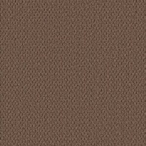 PERSPECTIVE PATH by Shaw Floors - Grounded