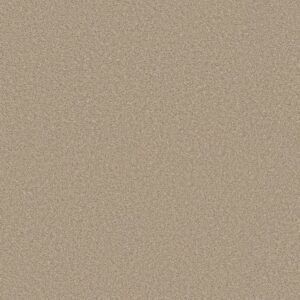 TRUSOLUTIONS I by Shaw Floors - Sheer Natural
