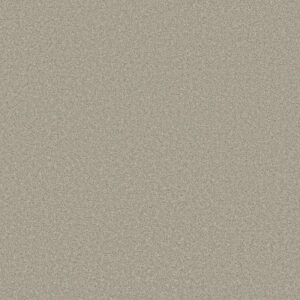 TRUSOLUTIONS II by Shaw Floors - Bleached Oak