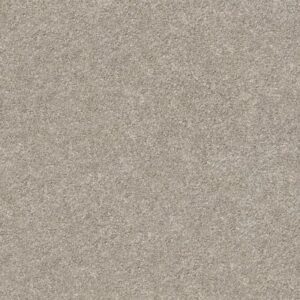YOUR COMFORT I by Shaw Floors - Back Patio