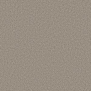 FEELIN' ALRIGHT by Shaw Floors - Stepping Stone