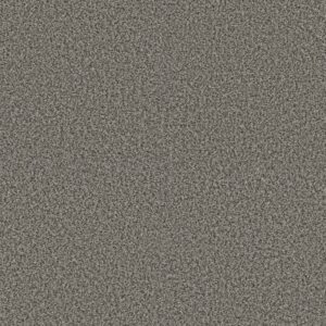 RENEWED ENERGY I by Shaw Floors - Shadow