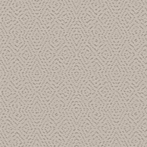 ELABORATE ARTIFACT by Shaw Floors - Soft Sense