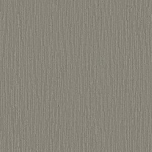MAKING MEMORIES by Shaw Floors - Restful Day