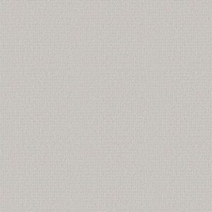 WARM MEMORIES by Shaw Floors - Coming Home