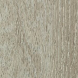 Symbiotic 5.0 by Shaw Floors - Plateau