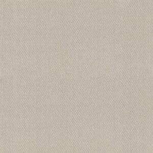 SIMPLY CLASSIC by Shaw Floors - Natural