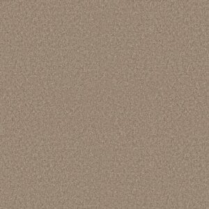 ELEVATED III by Shaw Floors - Summer Straw