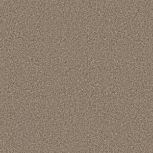 ELEVATED II by Shaw Floors - Rodeo
