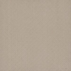 STELLAR by Dreamweaver - Champagne Fizz 6309