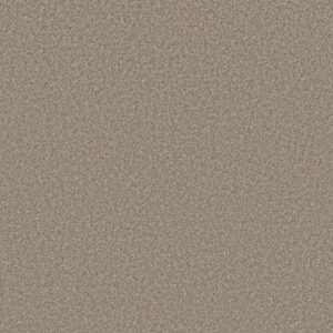 AFFIRMATION II by Shaw Floors - Plateau