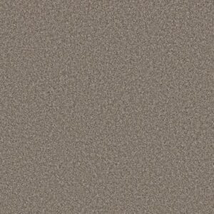 SOFT RADIANCE by Shaw Floors - Nutria