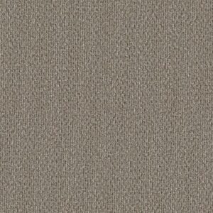 STONEBROOK by Shaw Floors - Walnut Grove