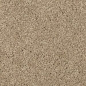 Natural Splendor I by Mohawk - Brushed Suede