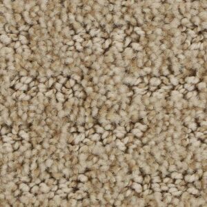 Stylish Tones by Mohawk - Chiffon
