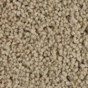 Soft Outlook by Mohawk - Quiet Beige