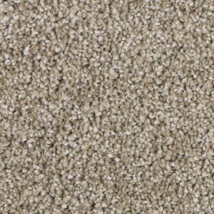 Delicate Tones II by Mohawk - Balsam Beige