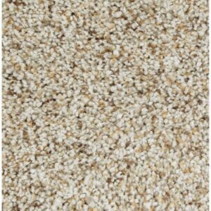 Exquisite Style by Mohawk - Nature'S Blend