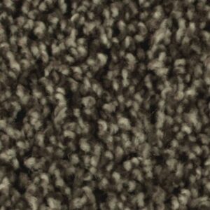 Artistic Allure by Mohawk - Imperial Brown