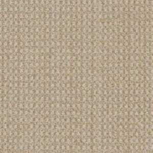BRUNSWICK by Dreamweaver - Shifting Sands 8060