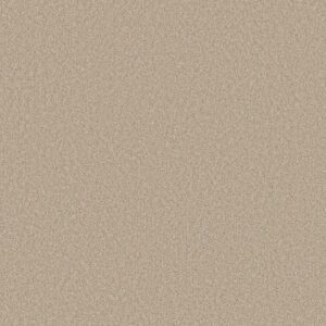 DEL RIO II by Shaw Floors - Cream